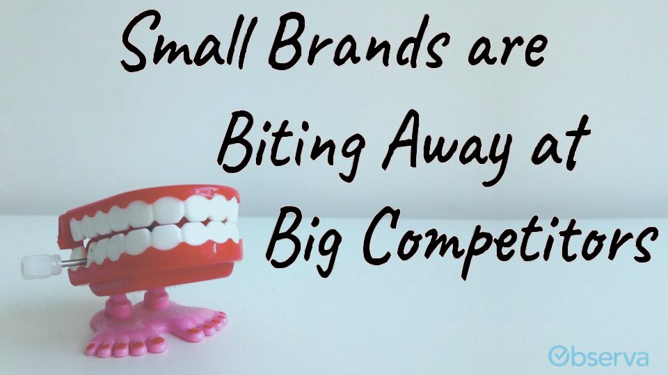 Why BIG brands are BIG and small brands are small 